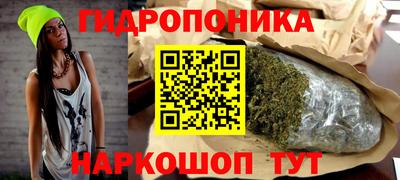 прущие крисы Камышлов