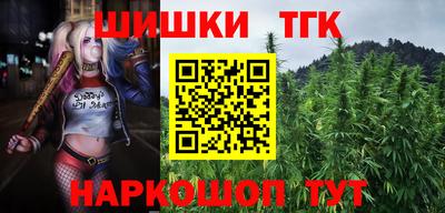 прущие крисы Камышлов